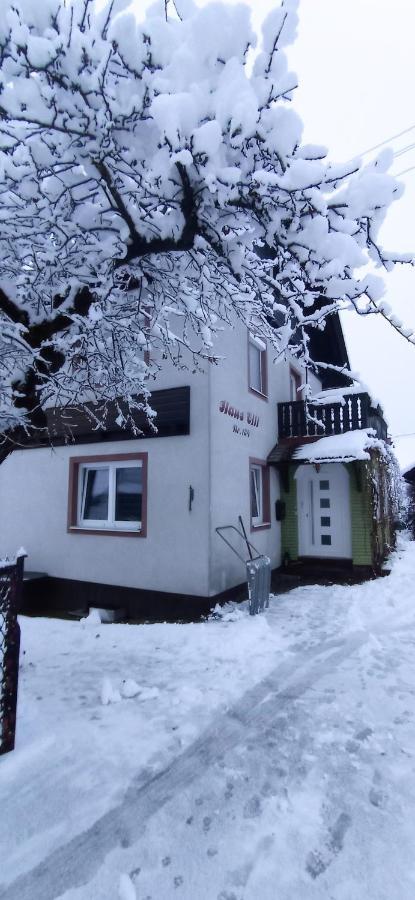 Haus Elli Leilighet Greifenburg Eksteriør bilde